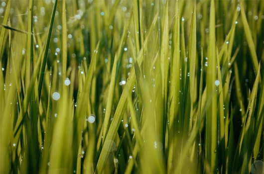 碳足跡報告公示